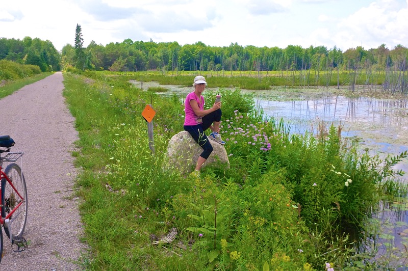 North Eastern State Trail